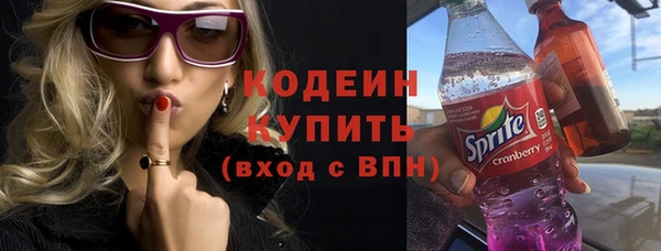 прущие грибы Аркадак