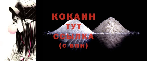 крисы Армянск