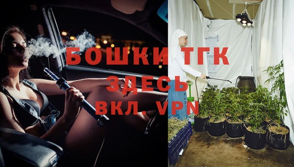 крисы Армянск