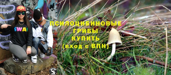 крисы Армянск